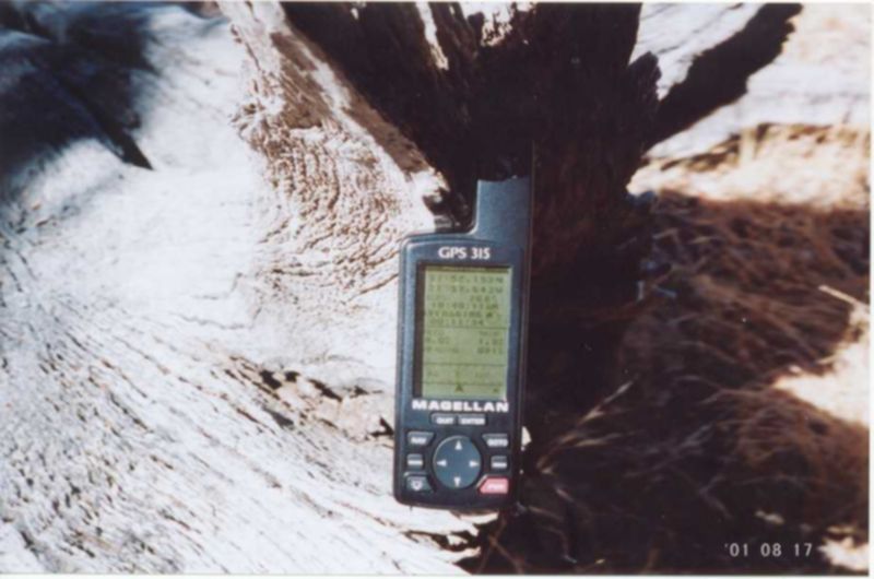 idlehands1.jpg (57393 bytes)