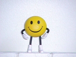 sfm1.JPG (42749 bytes)